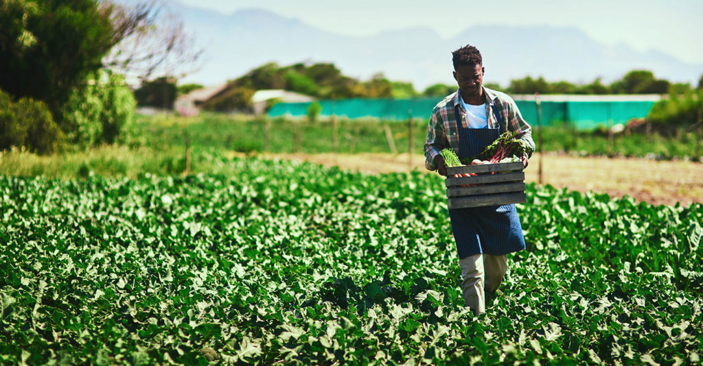 Christabel Phiri discusses how the Botswana farming sector can address SADC food security