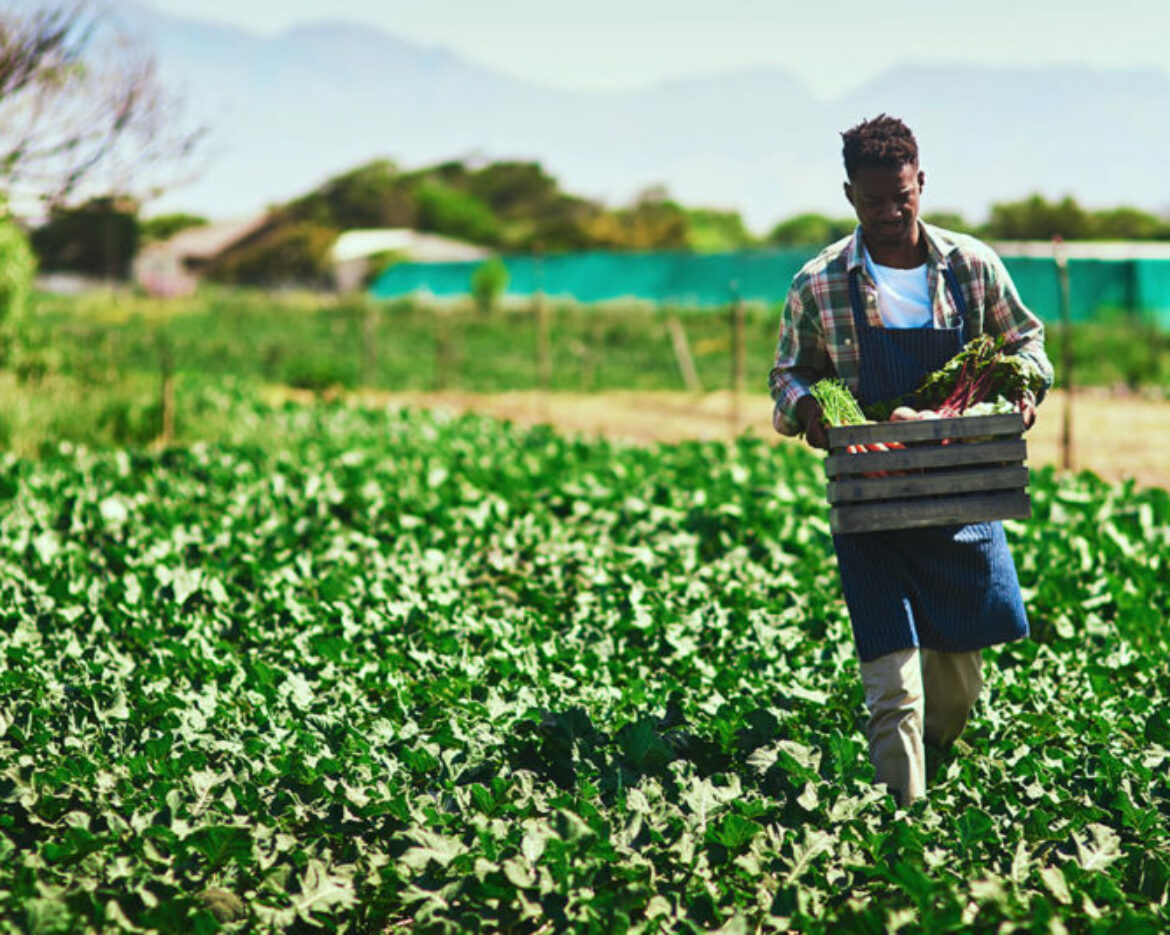 Christabel Phiri discusses how the Botswana farming sector can address SADC food security