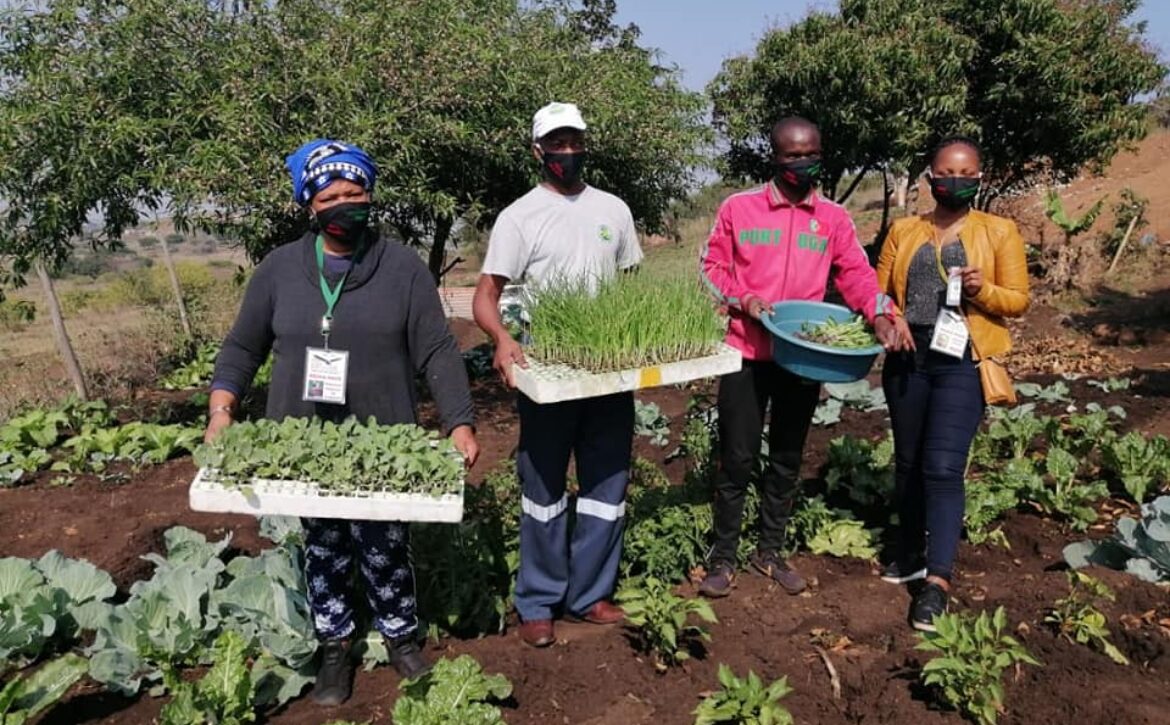 Addressing the risk on Food Security in Southern Africa during the COVID-19 Pandemic