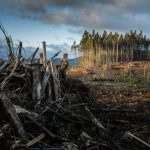 WEBINAR: Reflections on the Outcomes of COP26