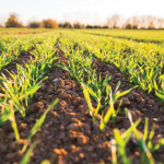 Rural communities part of climate solution