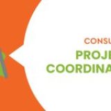 Consultant: Projects Coordinator